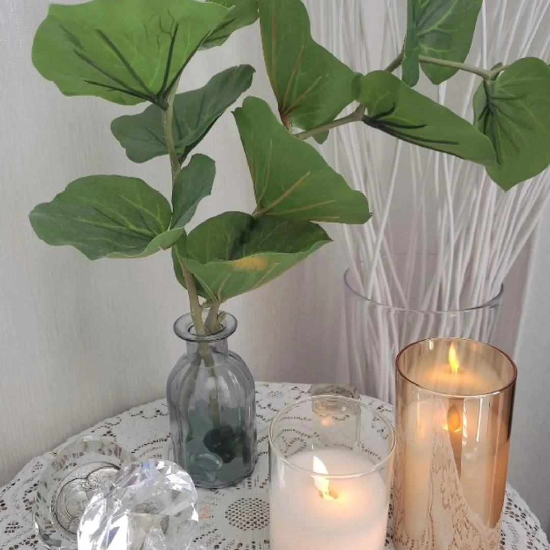 Lily Bed & Breakfast Busan South Korea