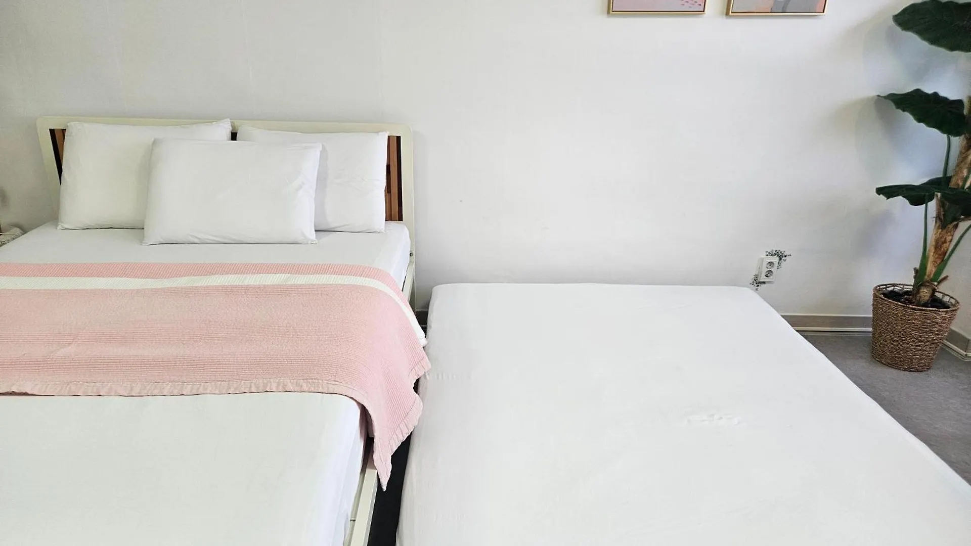 Lily Bed & Breakfast Busan
